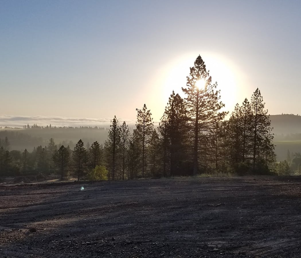 Obsidian Ridge Vineyard 3