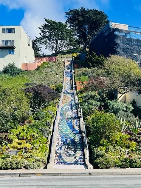 Hidden Garden Steps 1