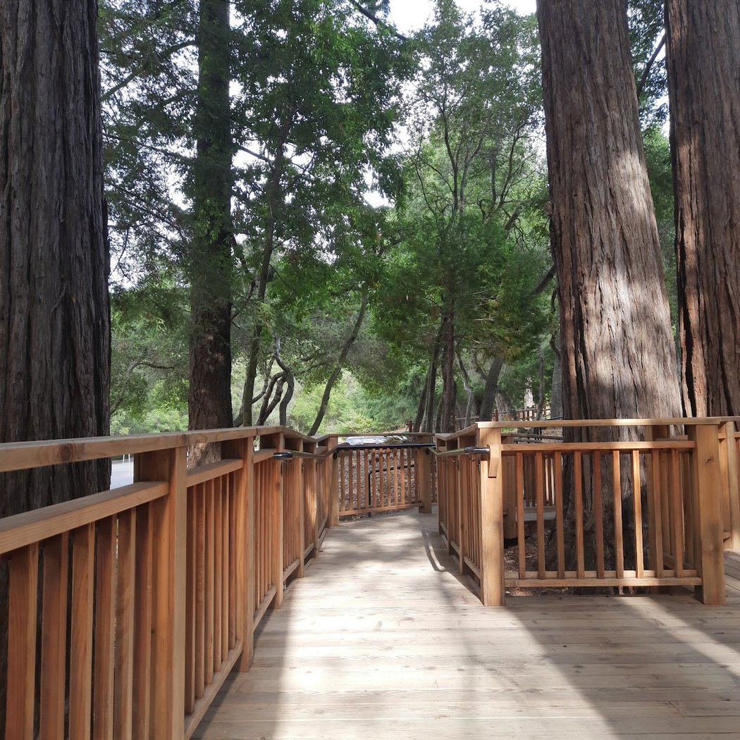 Sequoia Peterson Grove 3