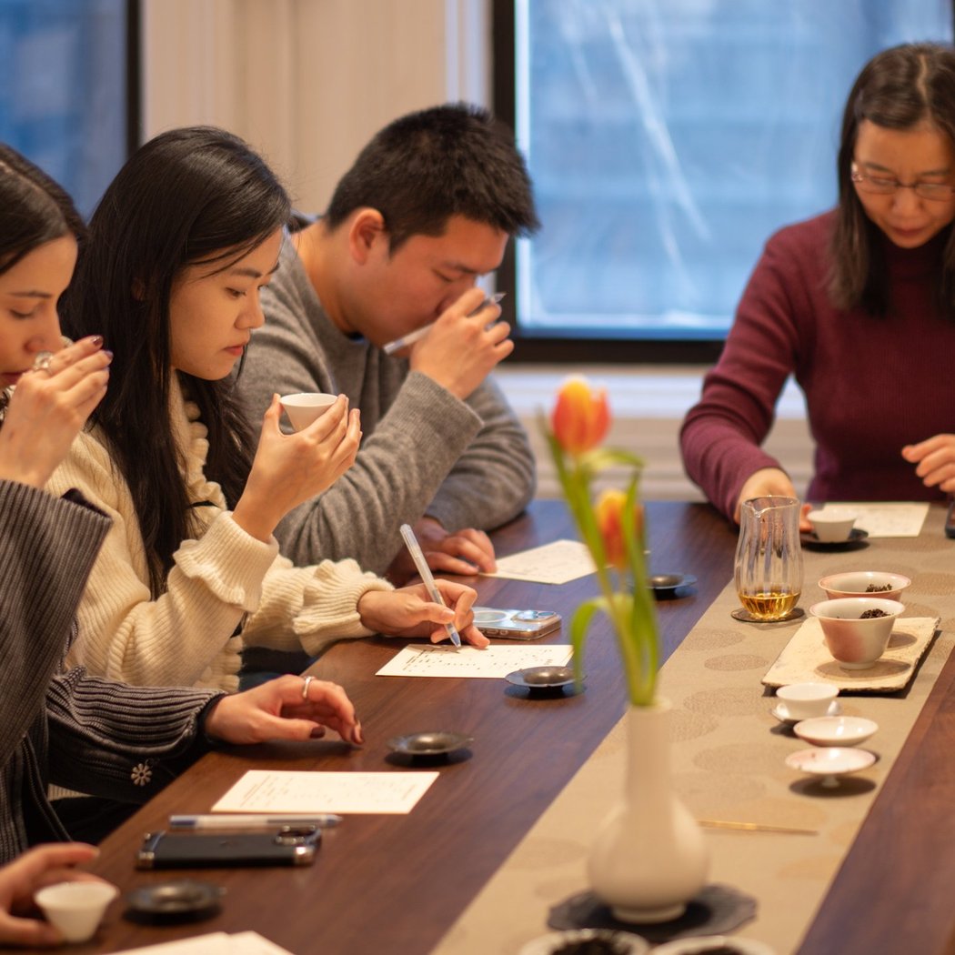 Chinese Tea Tasting: 2026 Early Spring Green Teas 3