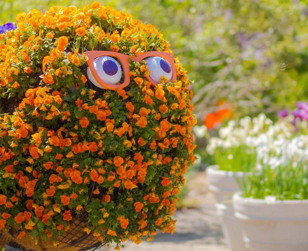 Flower Power 3