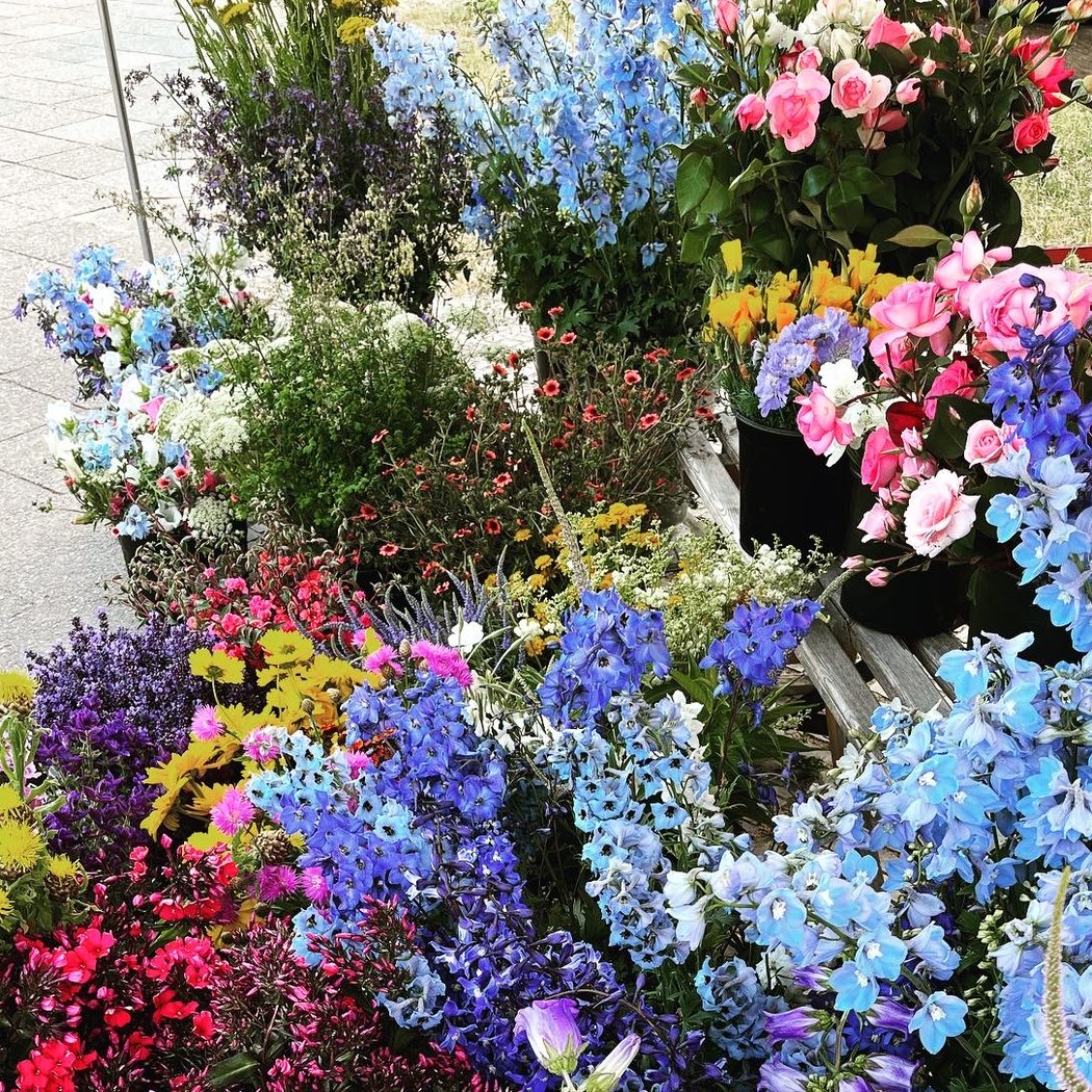 Donnerstag ist Hoftag: Gemüse und Blumen 1