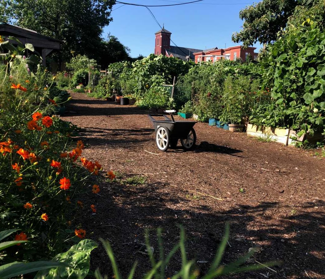 Myrtle Village Green 2