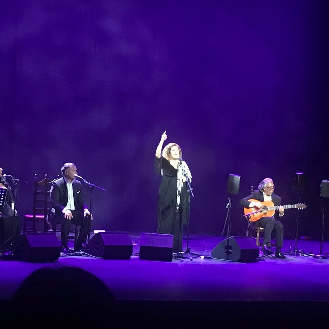 Cante Flamenco por Navidad – ‘Rancapino Chico’ 3