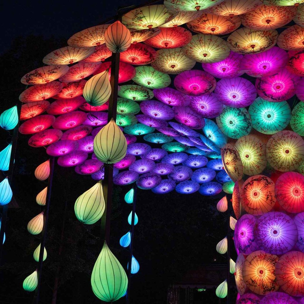 Asian Lantern Festival 3
