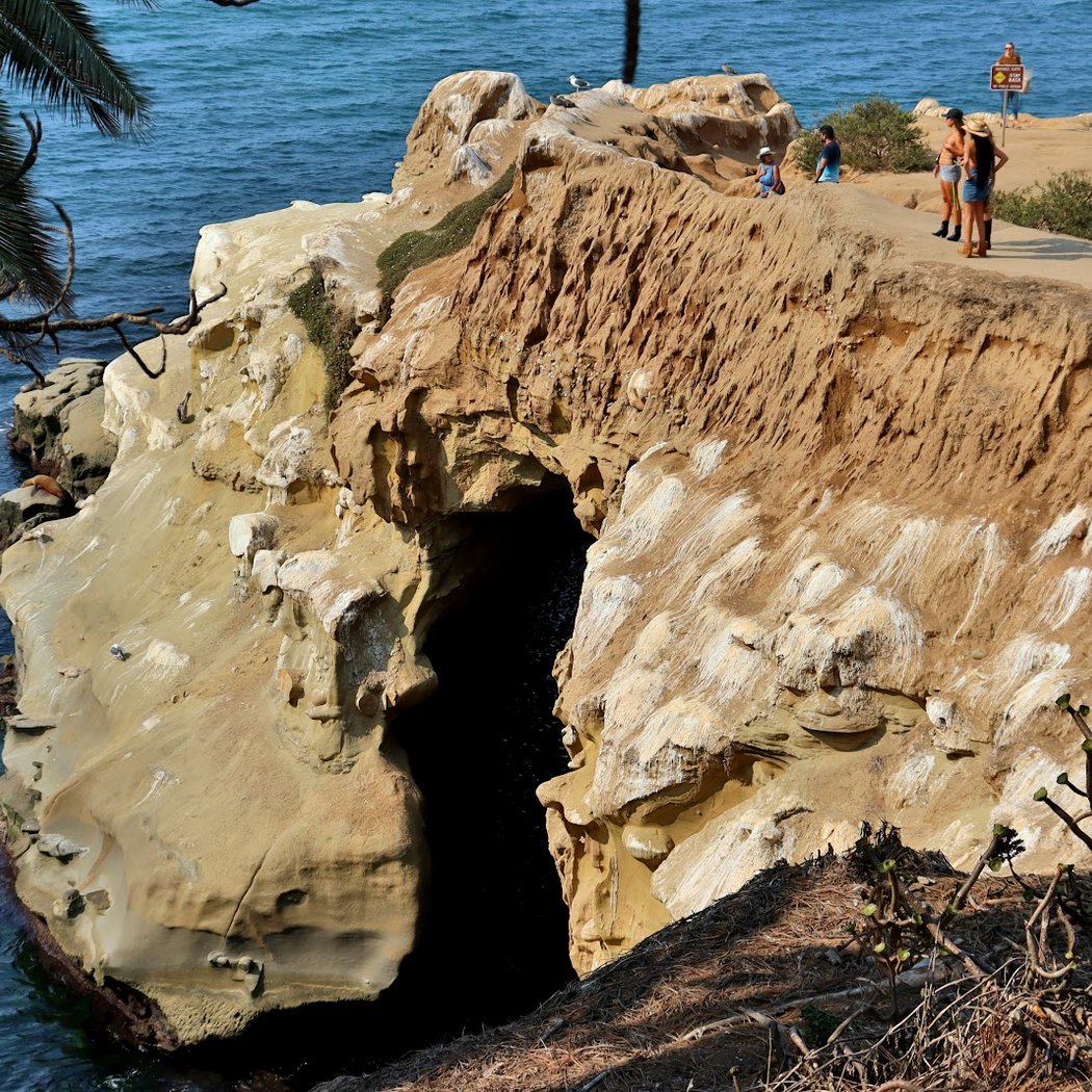 La Jolla 3