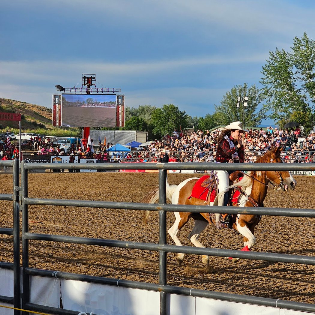 The Eagle Rodeo 3