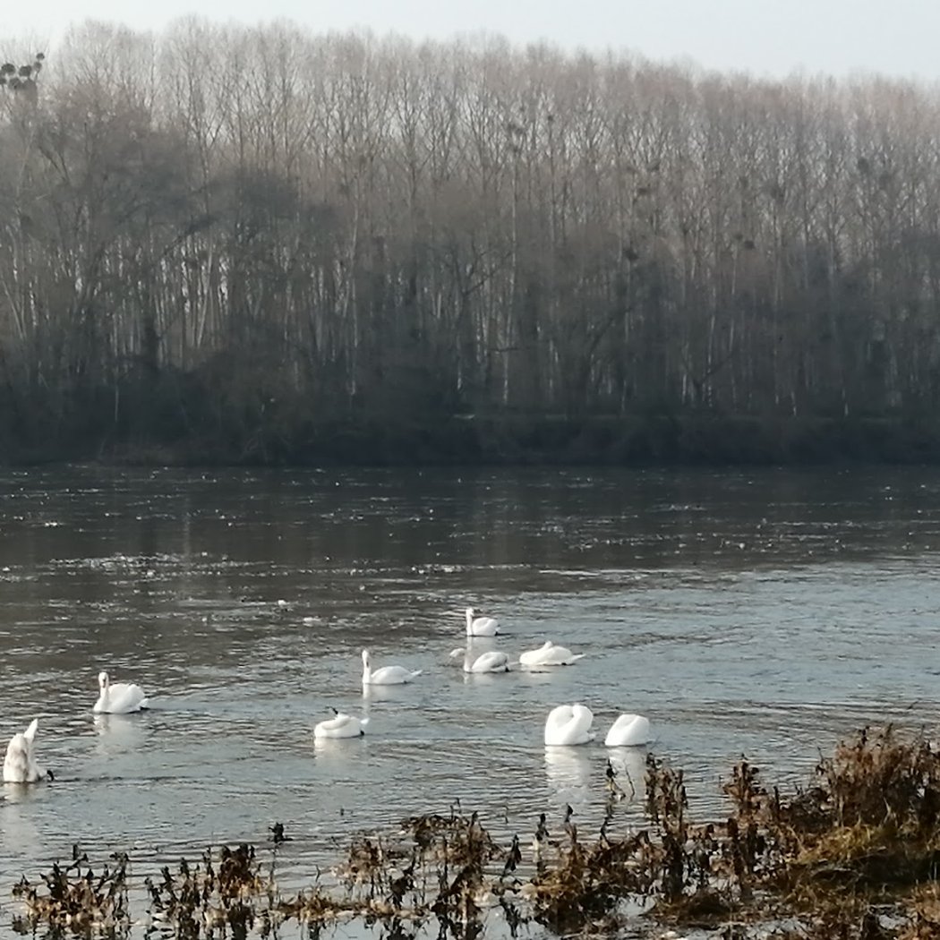 Balade sur la Loire 1