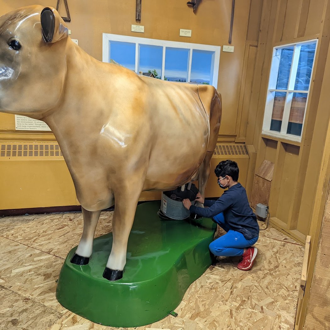 Lutz Children's Museum 3