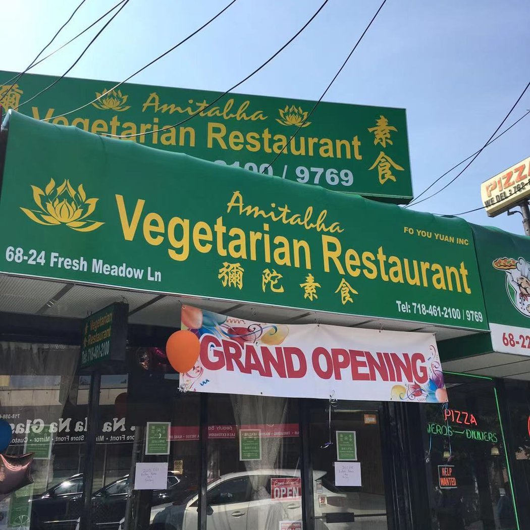 CAREYOU FOUNDATION INC (Used to Amitabha Vegan) 2