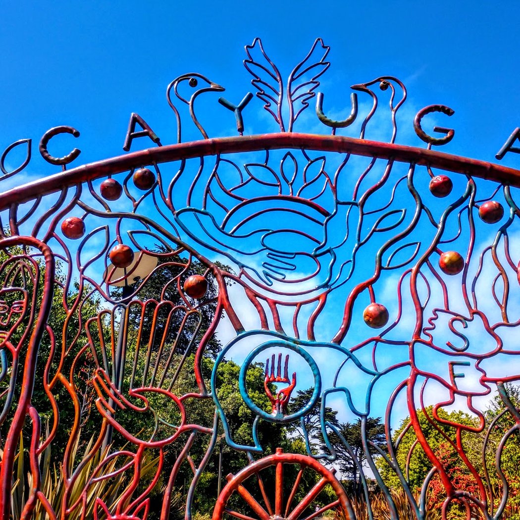 Cayuga Playground Park 1