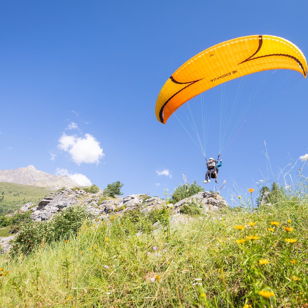 Pollen Parapente 3