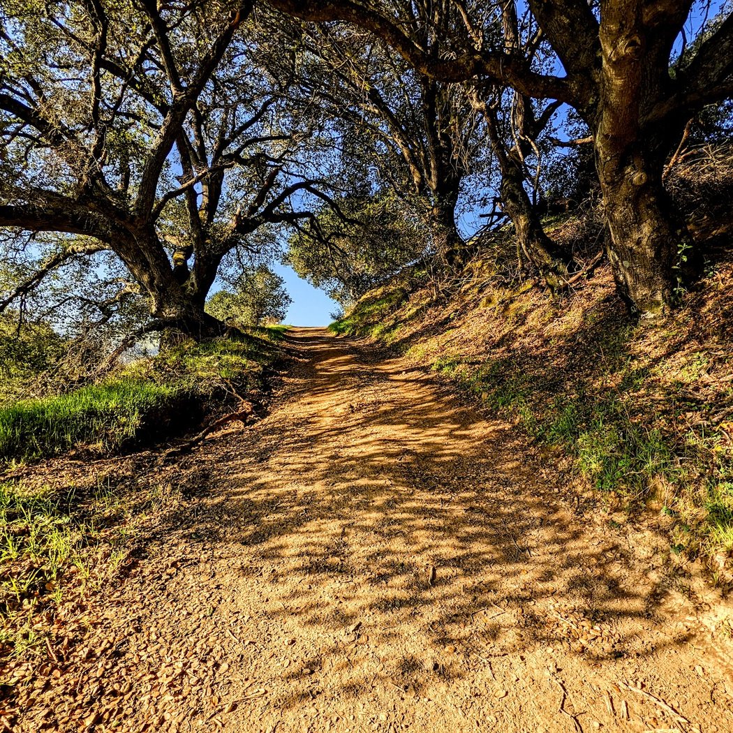 Lucas Valley Preserve 3