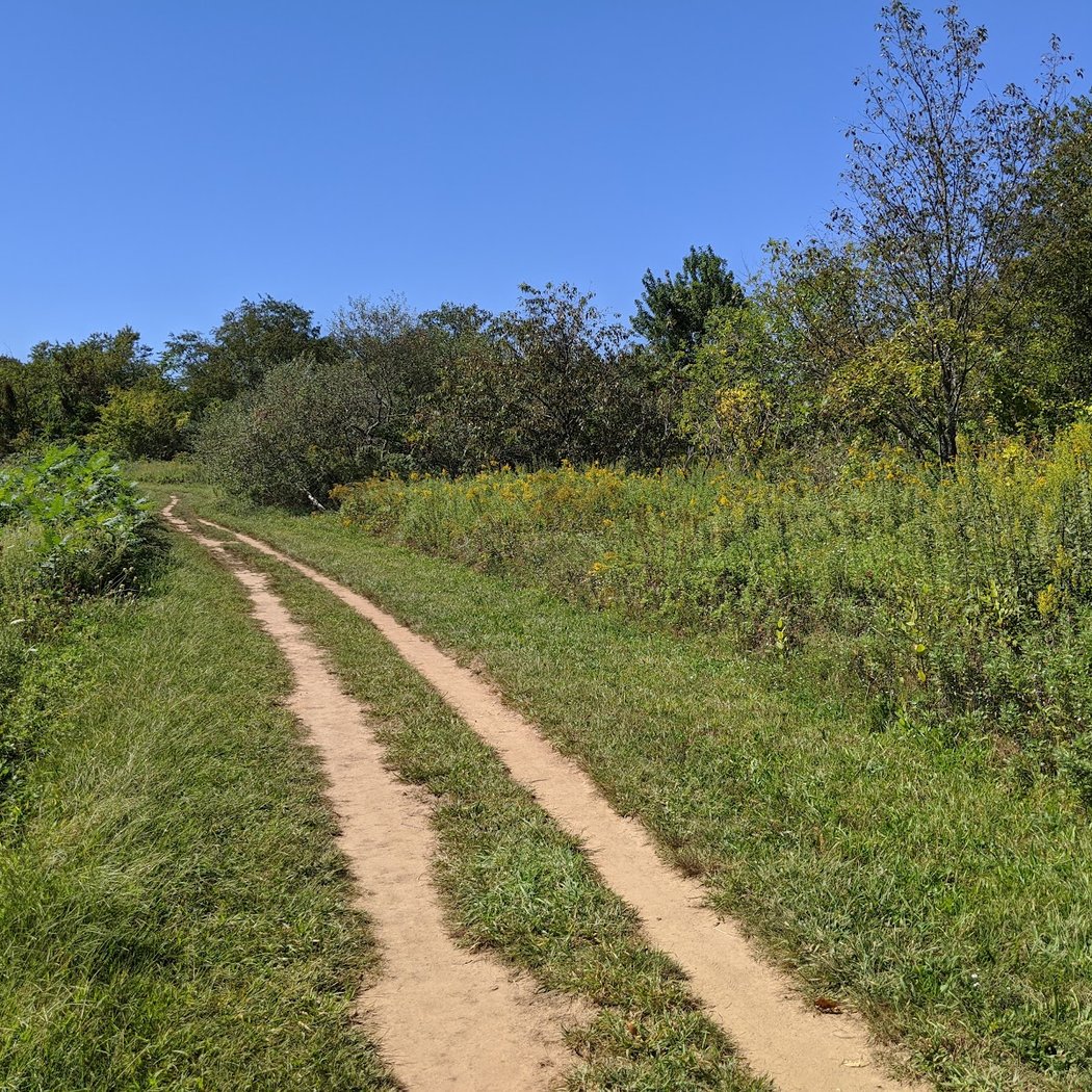 Stillwell Woods Park 2