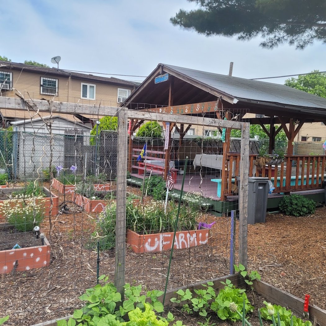 Nehemiah Ten Community Garden 2