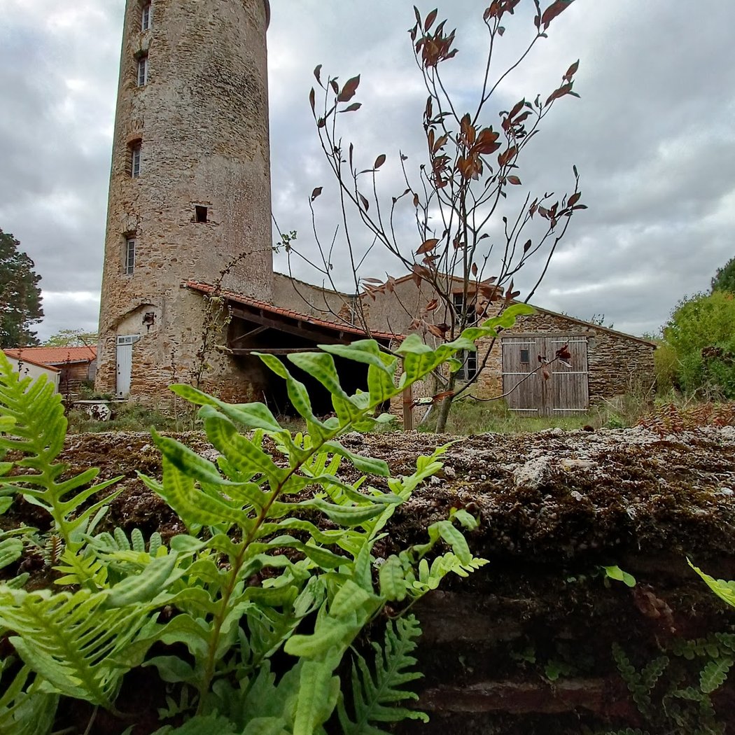 Foires, salons, brocantes et bourses 5