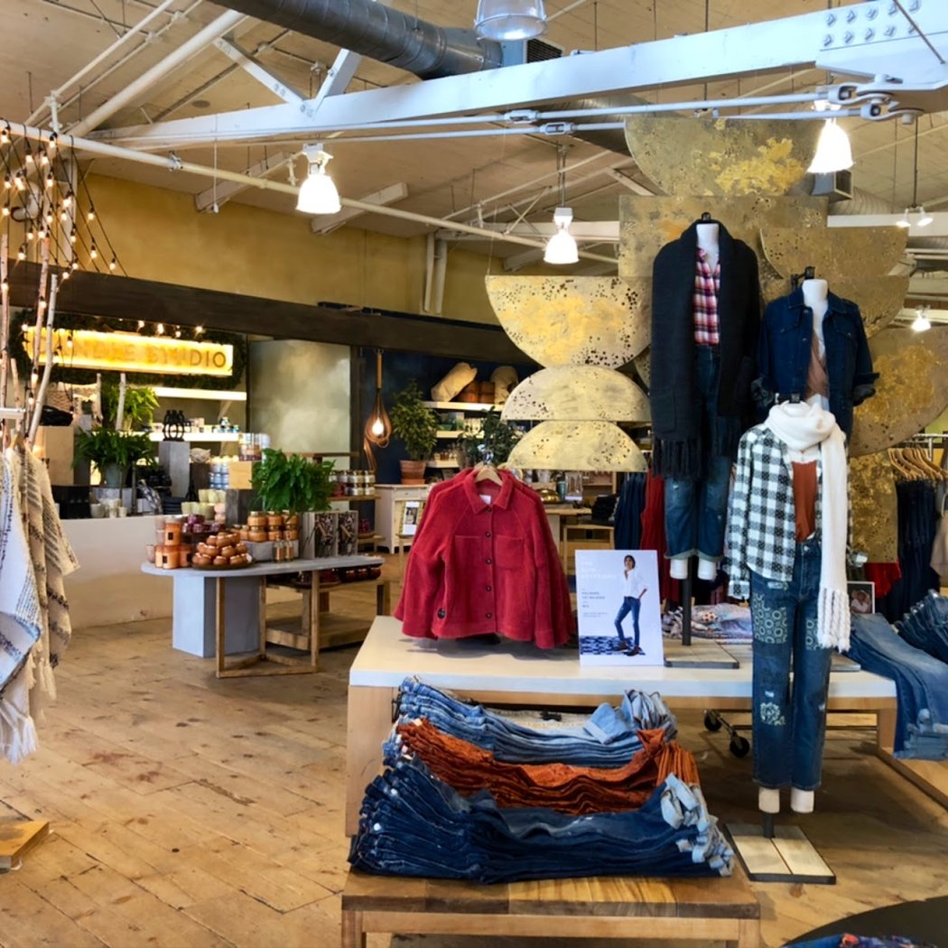 Anthropologie 3