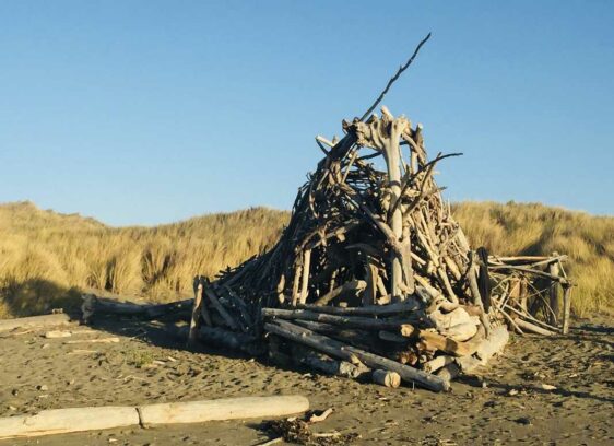 Bodega Dunes Campground 2