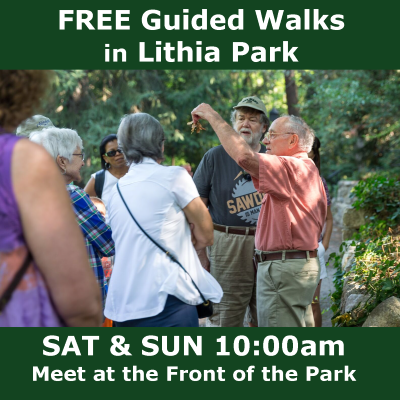 Lithia Park 1