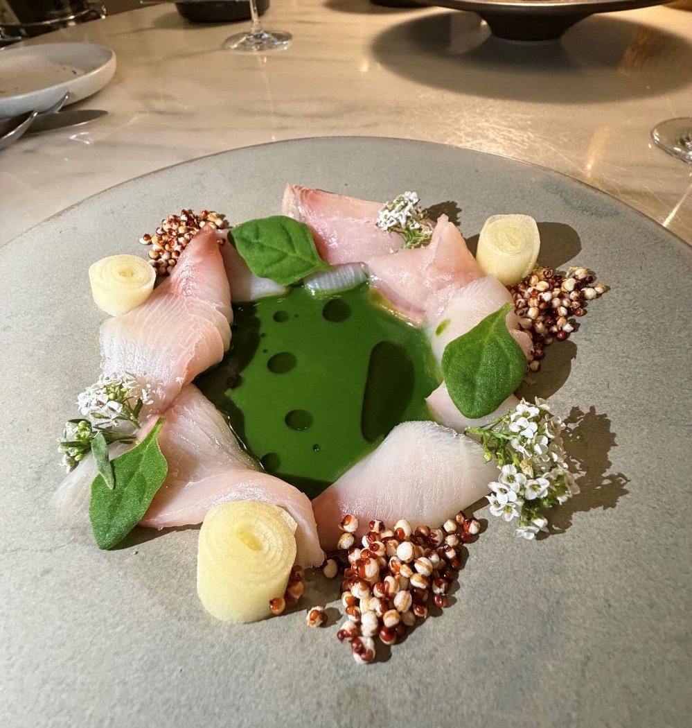 BAHR & Terrace 1