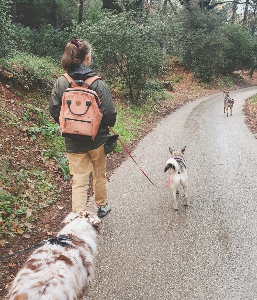 Trois P'tits Chiens - Éducatrice canin 2