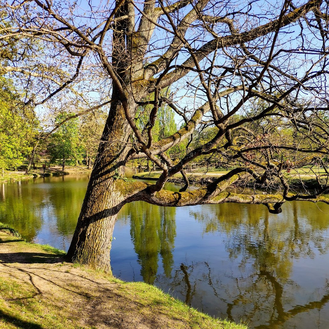 Grand Lac des Ibis 3