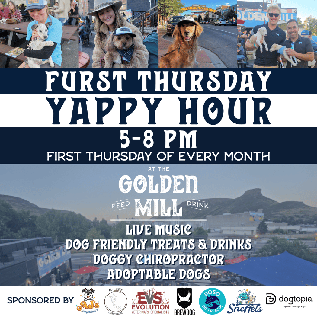 Furst Thursday Yappy Hour 1
