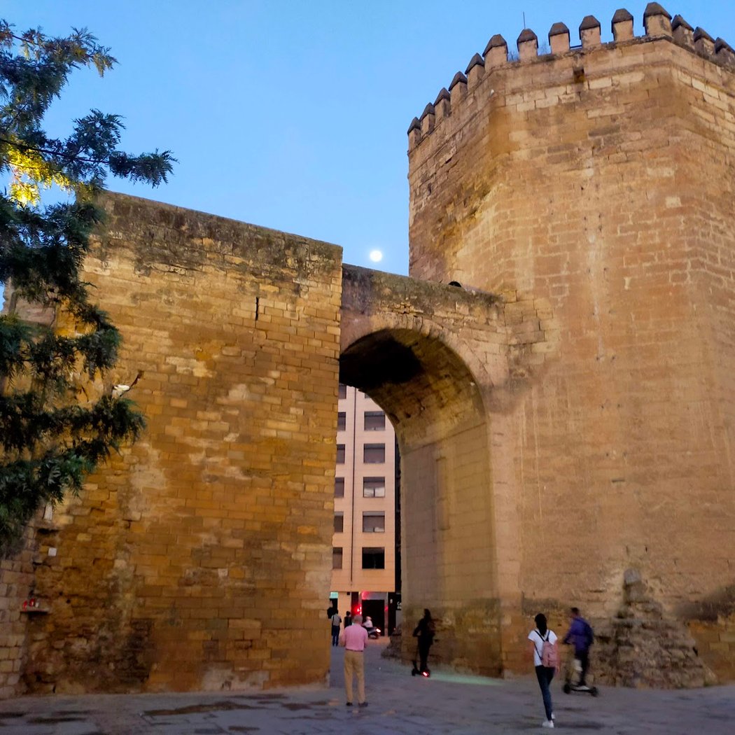 Cata del Vino Montilla–Moriles 2