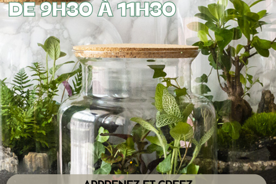 UN ATELIER TERRARIUM 1