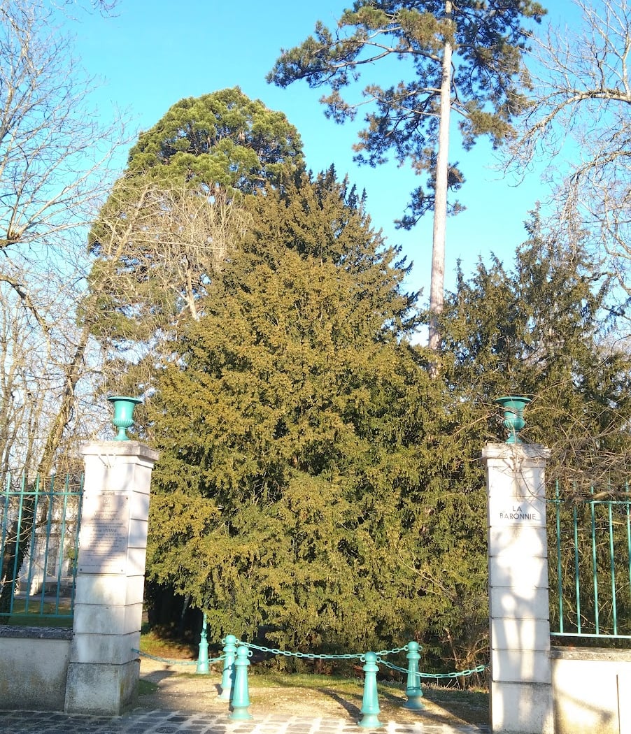 Course aux œufs de Pâques 3