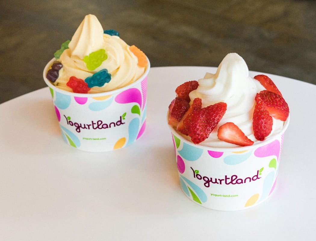 Yogurtland San Jose 1