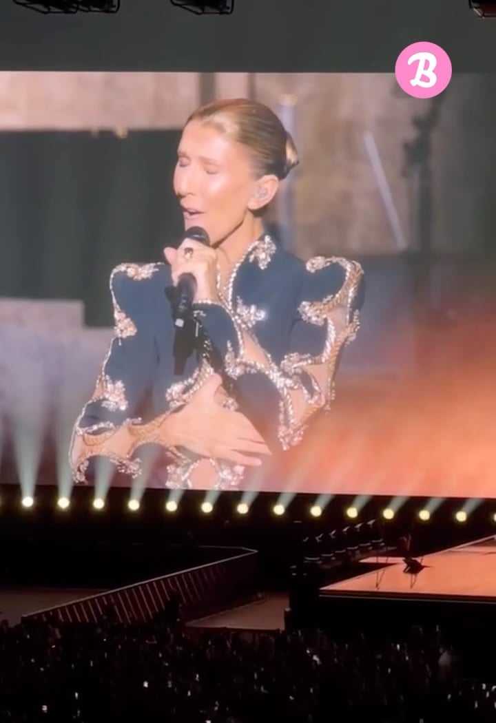 Celine Dion concert 1