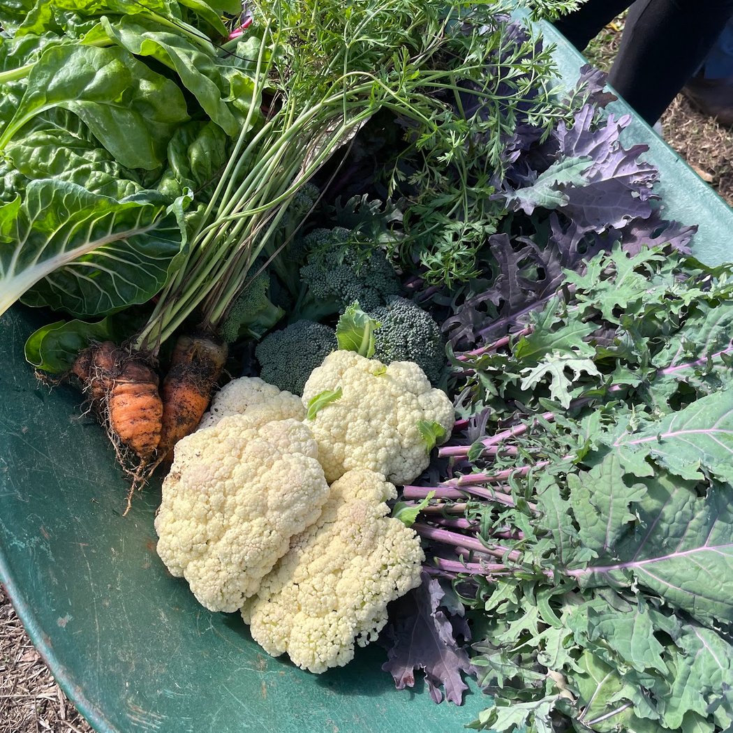 O Grows Farmers Market 1