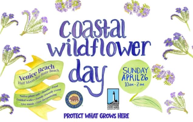 Coastal Wildflower Day 1