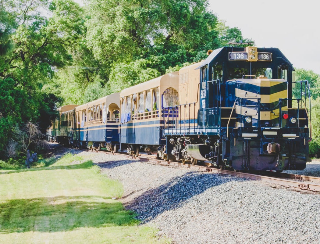 River Fox Train 3