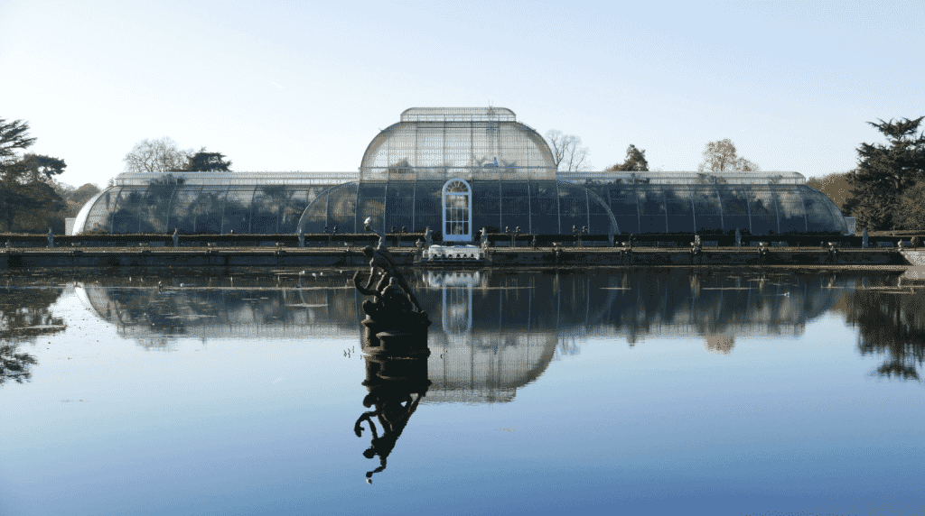 Palm House 5
