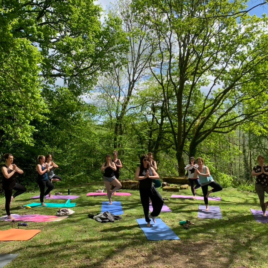 Beginner Yoga at Forest Park 2