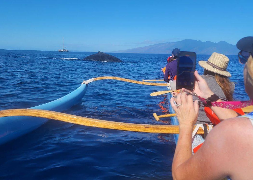We Paddle Maui 1