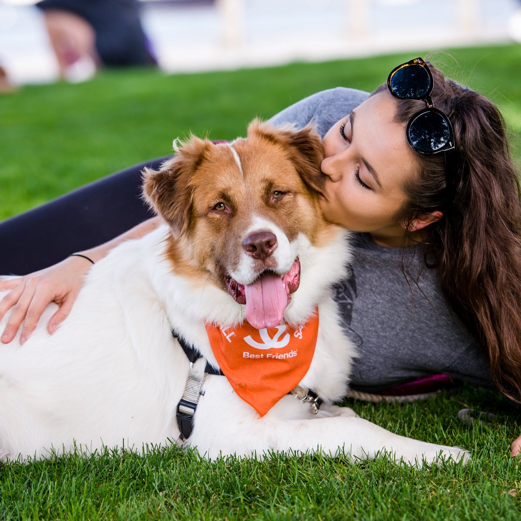 Yappy Hour 1