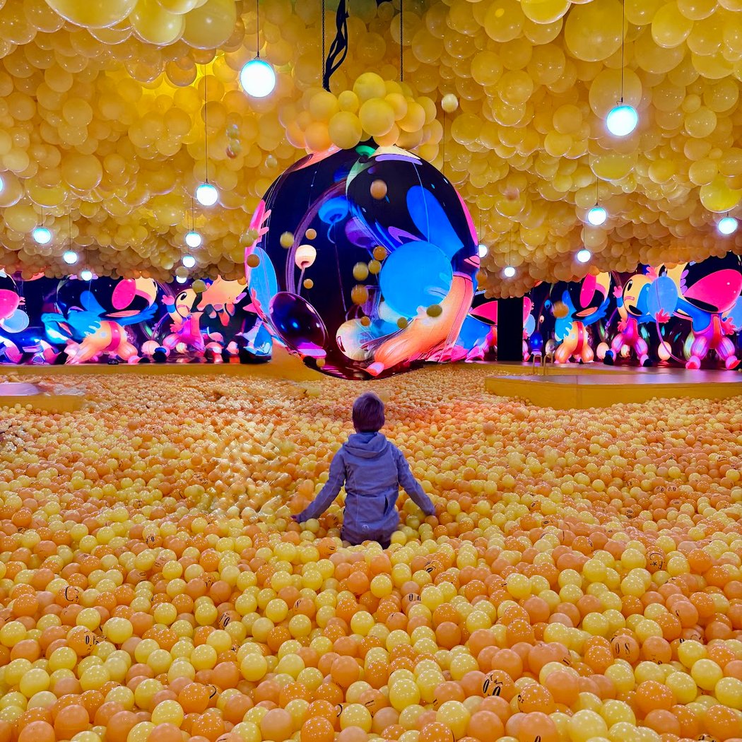 Balloon Museum | EmotionAir Chicago