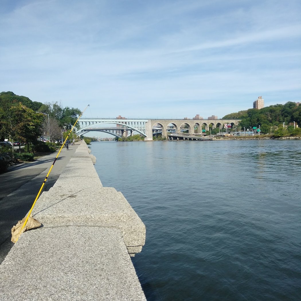 Harlem River Dr 1