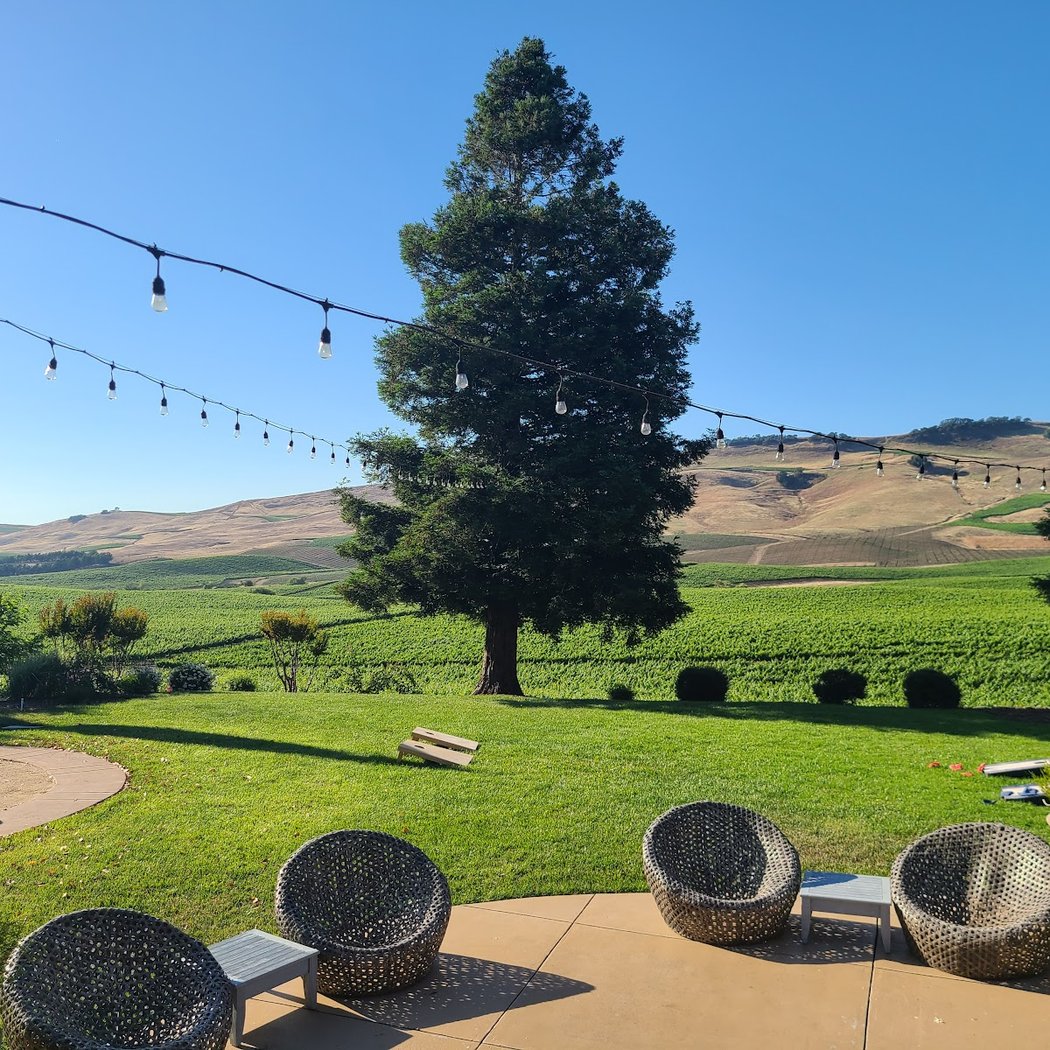 Wine Tasting Experiences 3