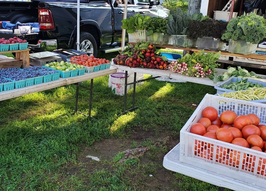 Easy Pickin's Orchard 2