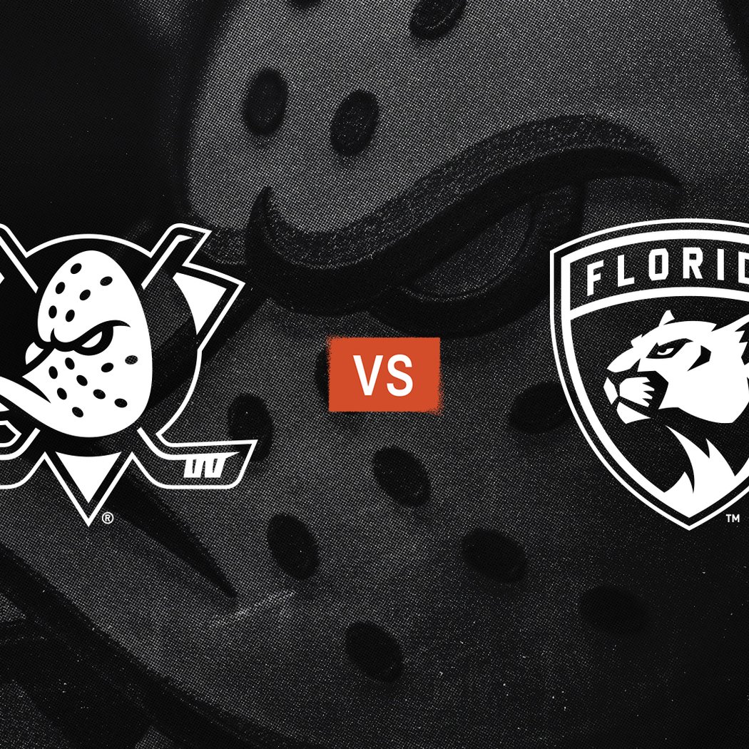 Ducks vs. Panthers 3