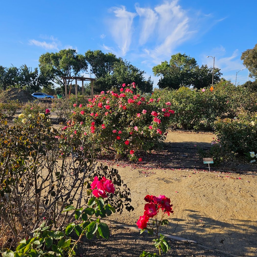 Guadalupe Gardens 3