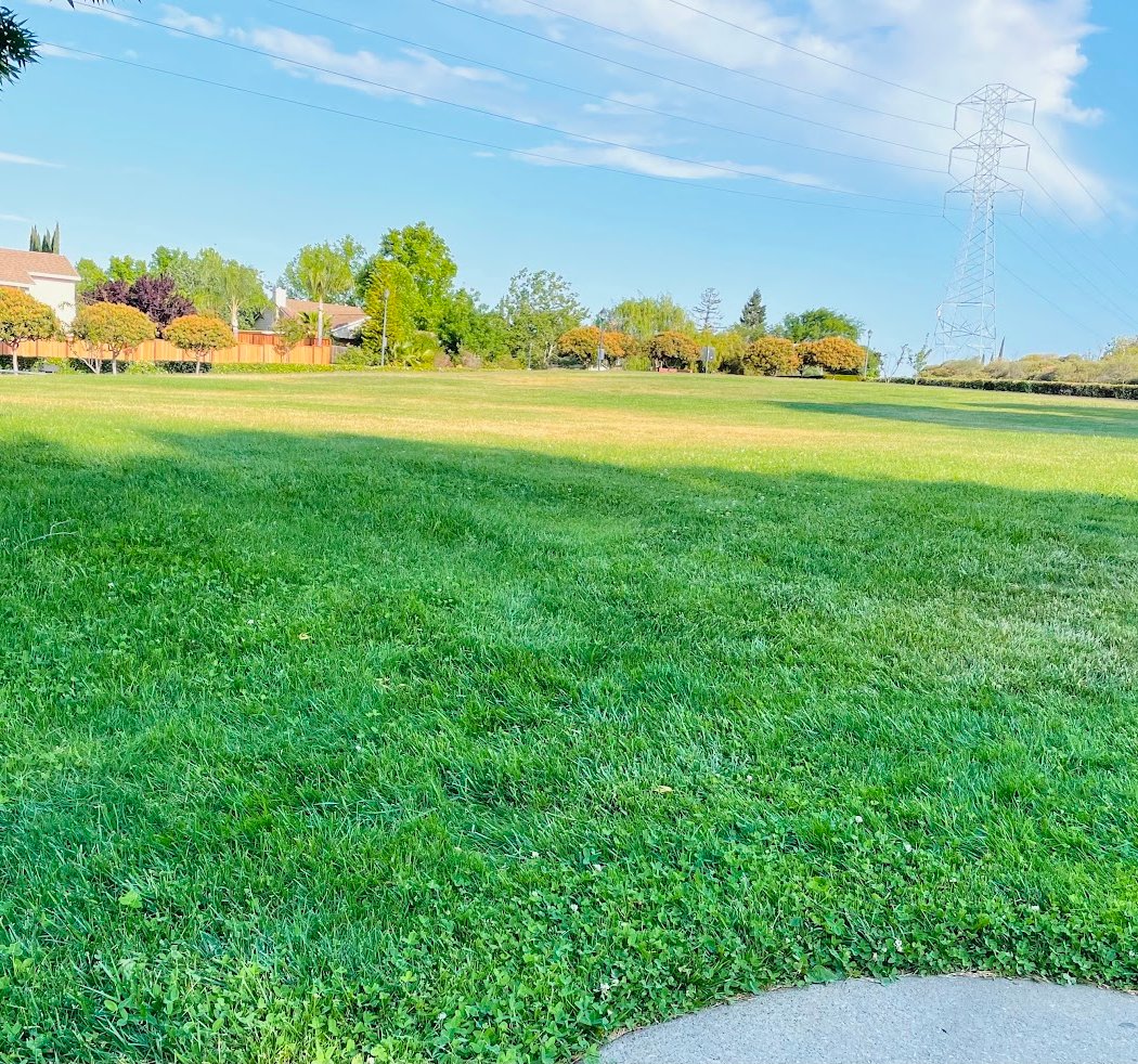 Chaparral Park 2