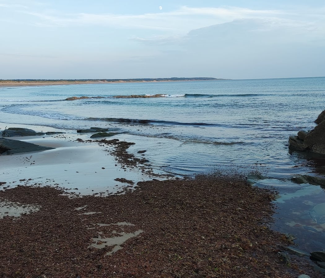 Plage de Surtainville 3