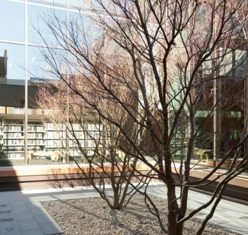 Bayview / Linda Brooks-Burton Branch Library 1