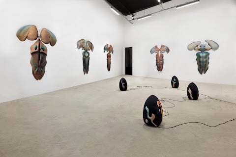 LIDDY SCHEFFKNECHT – NOW 2