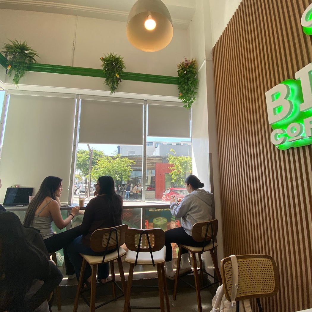 Binge Coffee House 2